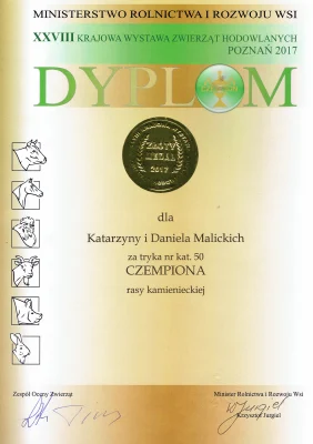 Dyplom Jurgiel