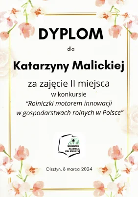 Dyplom innowacje