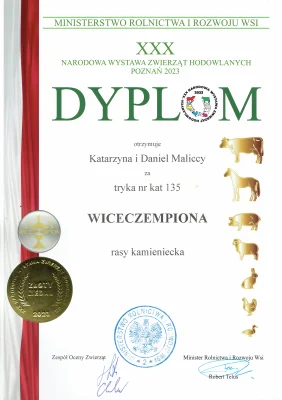 Dyplom Telus